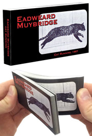 Cat Running Animated Flip Book 1887 | poptoptoys.