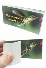 Hummingbird Animated Flip Book Slow-Mo | poptoptoys.