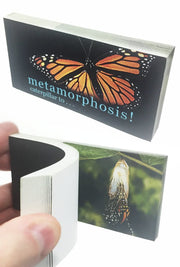 Butterfly Transforms Animated Flip Book | poptoptoys.