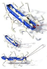 Walking Kicker Mxykikker | poptoptoys.