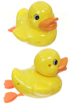 Swimmer Duck Water Windup Large Ducky | poptoptoys.