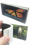 Butterfly Transforms Animated Flip Book | poptoptoys.