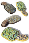 Turtle Clicker Tin Toy | poptoptoys.