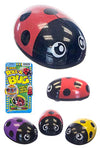 Roll A Bug Magnetic Ladybug Wind Up | poptoptoys.